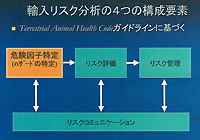 図６：輸入リスク分析の構成要素